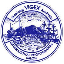 VIGEX